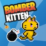 Bomber Kitten